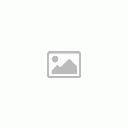 Mosható patronszűrő porszívóhoz PARKSIDE (Lidl) 1500,1400